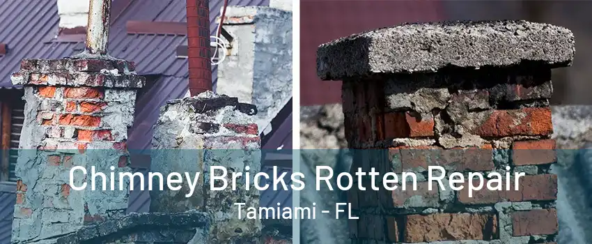 Chimney Bricks Rotten Repair Tamiami - FL