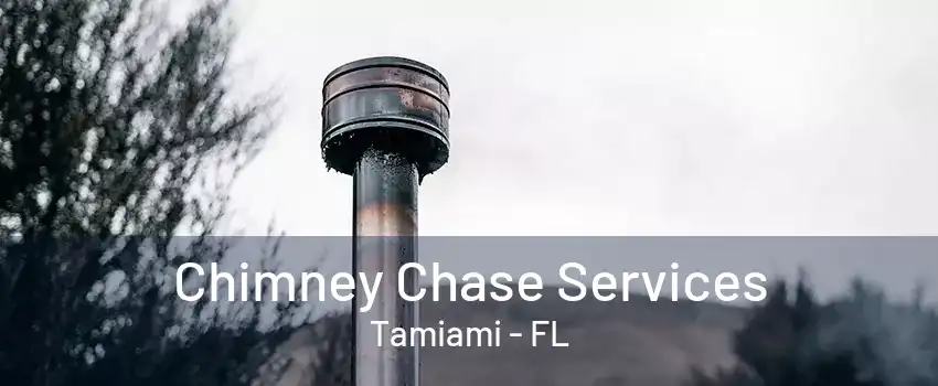 Chimney Chase Services Tamiami - FL