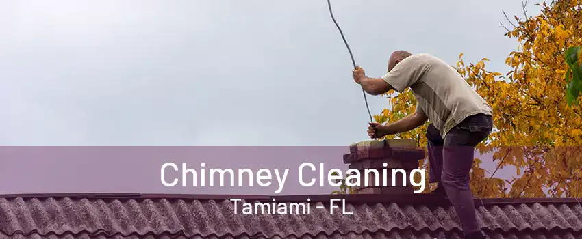 Chimney Cleaning Tamiami - FL