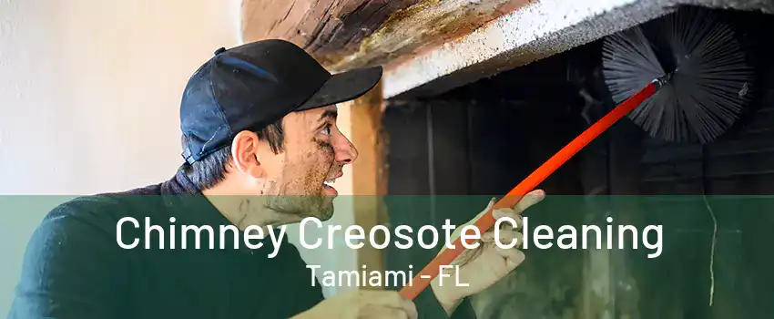 Chimney Creosote Cleaning Tamiami - FL