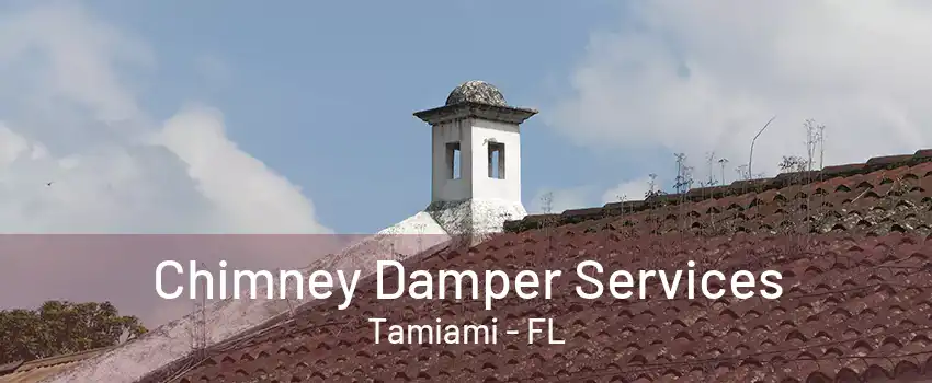 Chimney Damper Services Tamiami - FL