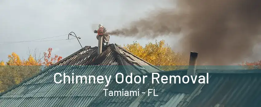 Chimney Odor Removal Tamiami - FL