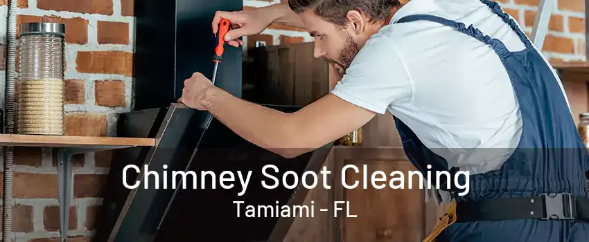 Chimney Soot Cleaning Tamiami - FL