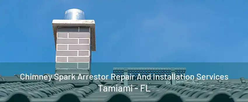 Chimney Spark Arrestor Repair And Installation Services Tamiami - FL