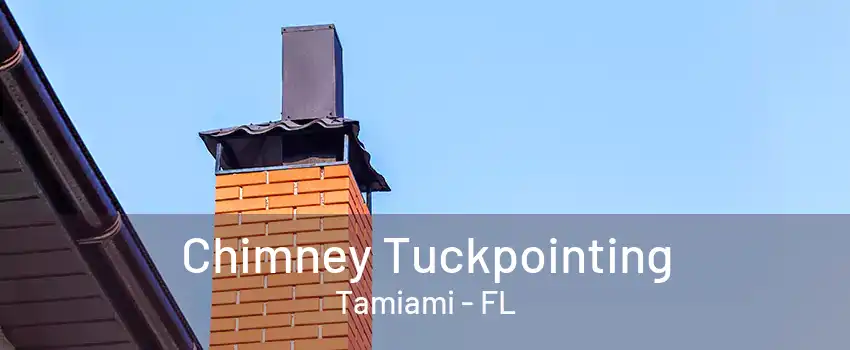 Chimney Tuckpointing Tamiami - FL