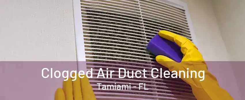 Clogged Air Duct Cleaning Tamiami - FL