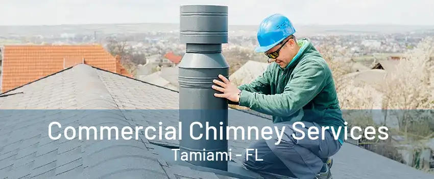 Commercial Chimney Services Tamiami - FL