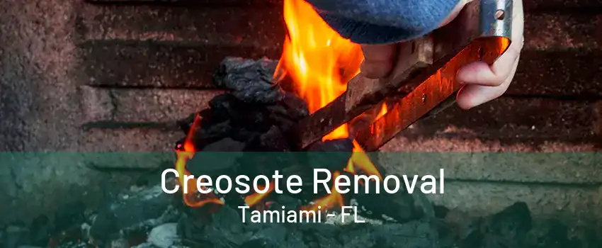 Creosote Removal Tamiami - FL