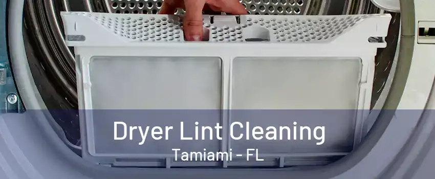 Dryer Lint Cleaning Tamiami - FL