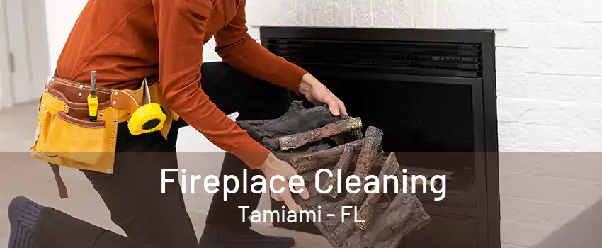 Fireplace Cleaning Tamiami - FL