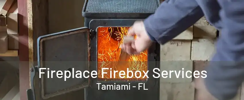 Fireplace Firebox Services Tamiami - FL