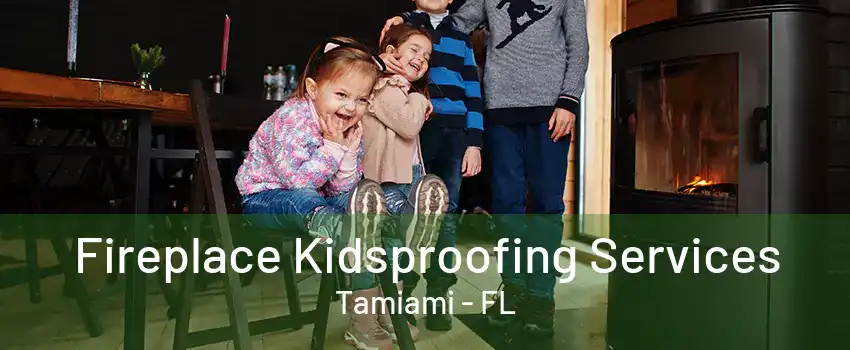 Fireplace Kidsproofing Services Tamiami - FL