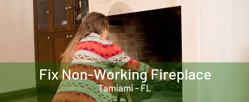 Fix Non-Working Fireplace Tamiami - FL