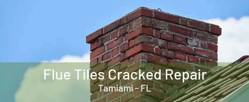 Flue Tiles Cracked Repair Tamiami - FL