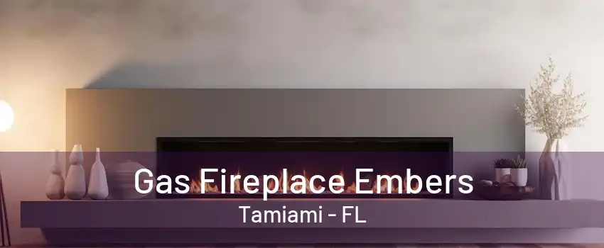 Gas Fireplace Embers Tamiami - FL