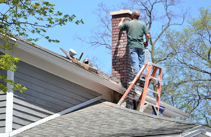 Chimney & Fireplace Inspections Services in Tamiami, FL