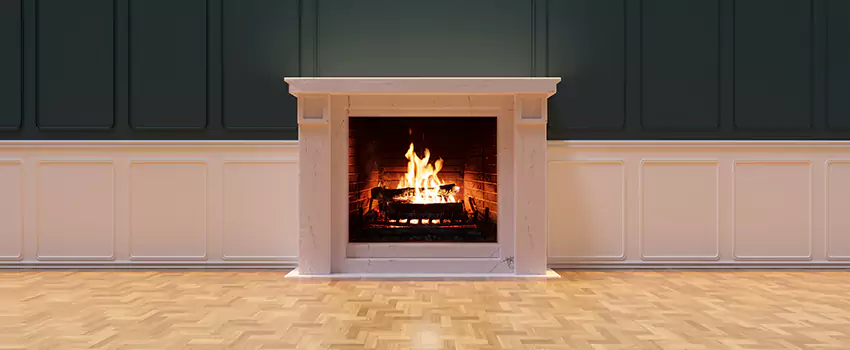 Napoleon Electric Fireplaces Inspection Service in Tamiami, Florida