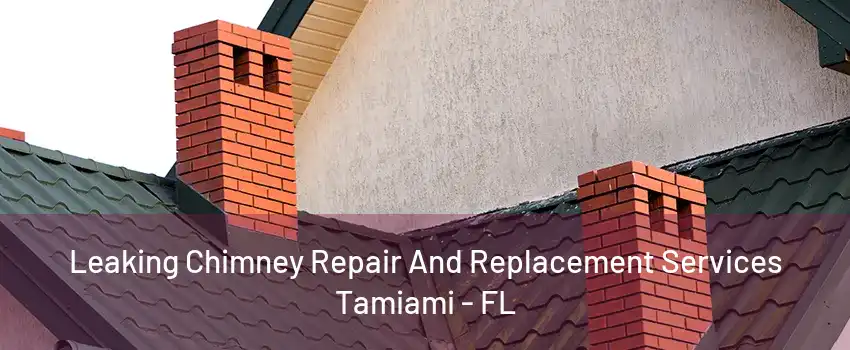 Leaking Chimney Repair And Replacement Services Tamiami - FL