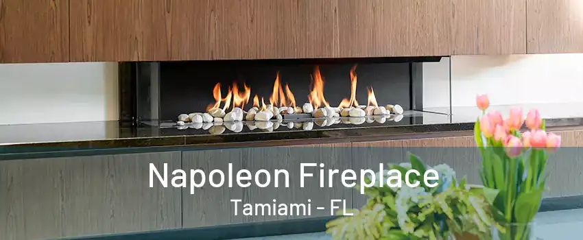 Napoleon Fireplace Tamiami - FL