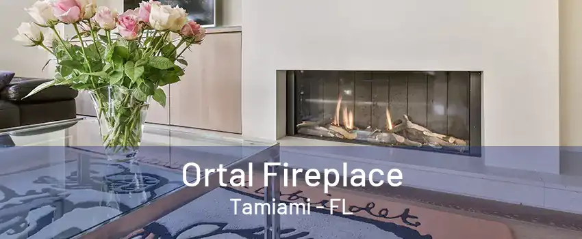 Ortal Fireplace Tamiami - FL