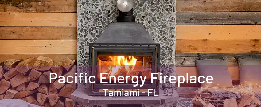 Pacific Energy Fireplace Tamiami - FL